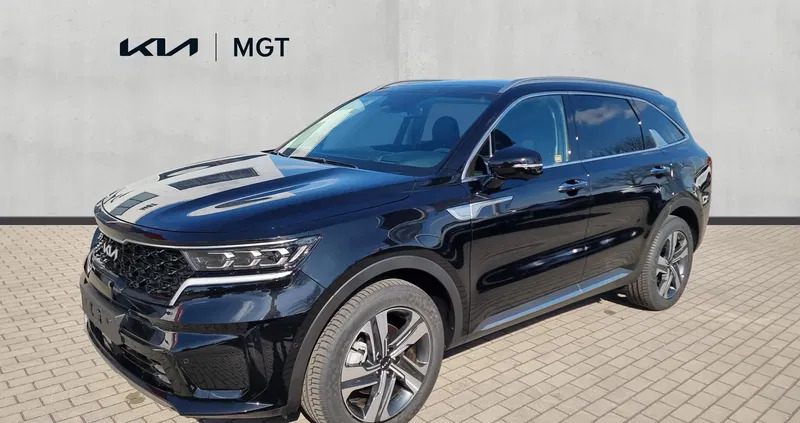 łowicz Kia Sorento cena 229900 przebieg: 10, rok produkcji 2023 z Łowicz